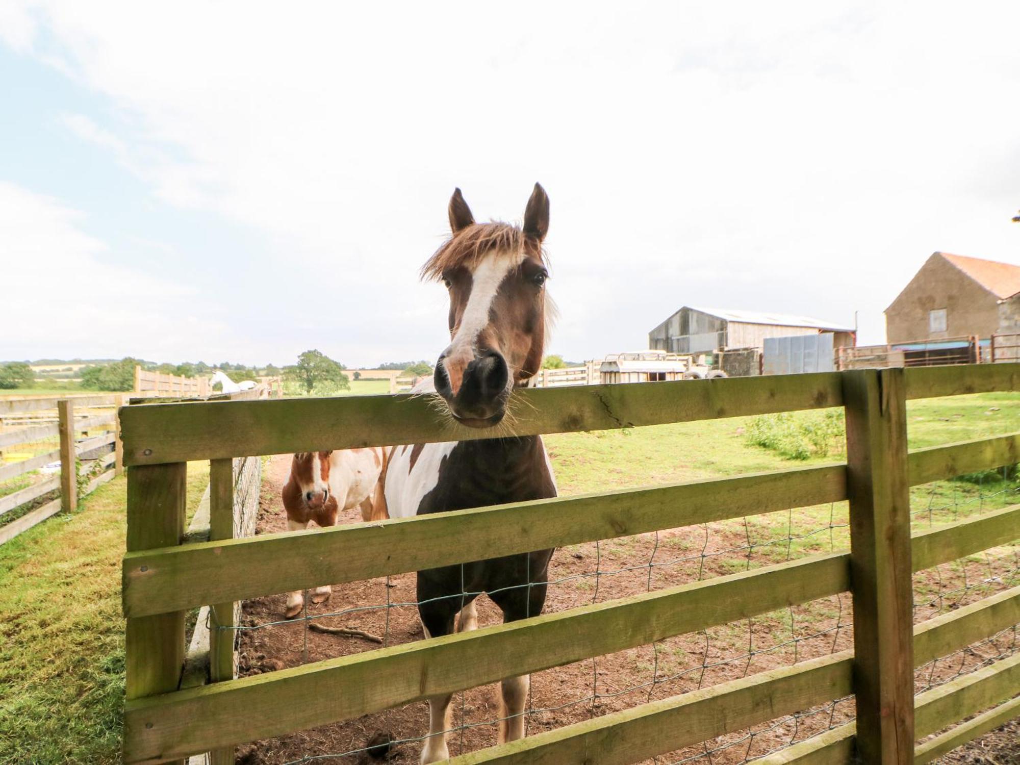 The Barn Villa นอร์ทอัลเลอร์ทัน ภายนอก รูปภาพ